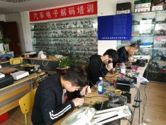 后入老阿姨